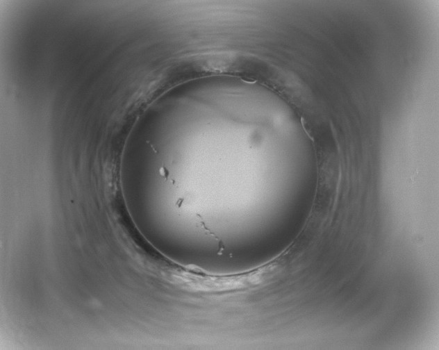 X0000066520031200603171230