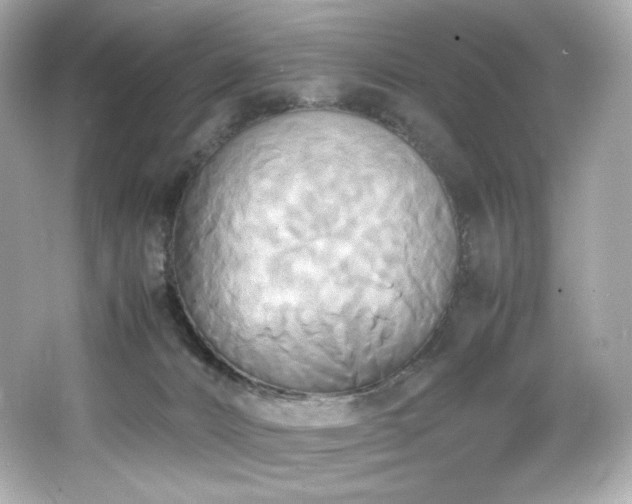 X0000066520032200603171230