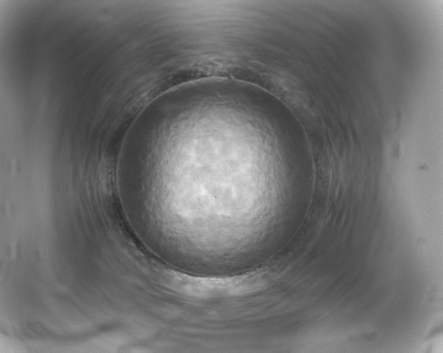 X0000066520034200603171230