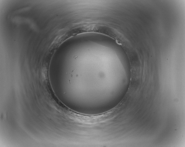 X0000066520035200603171230