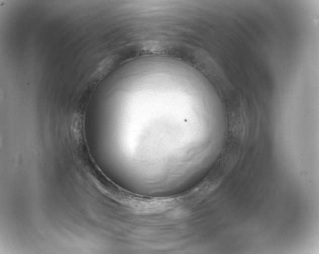 X0000066520036200603171230