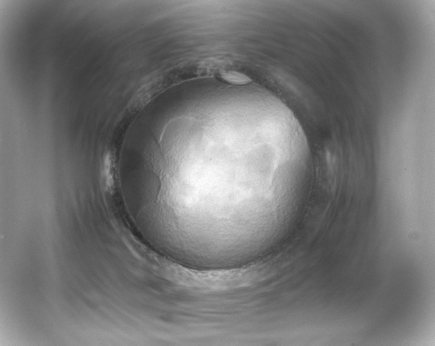 X0000066520038200603171229