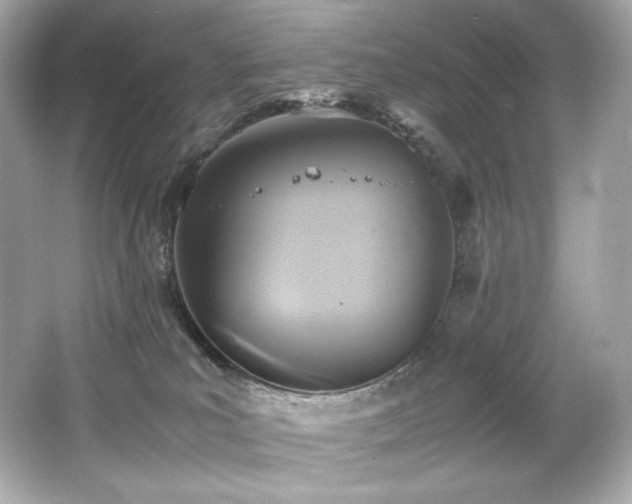 X0000066520039200603171229