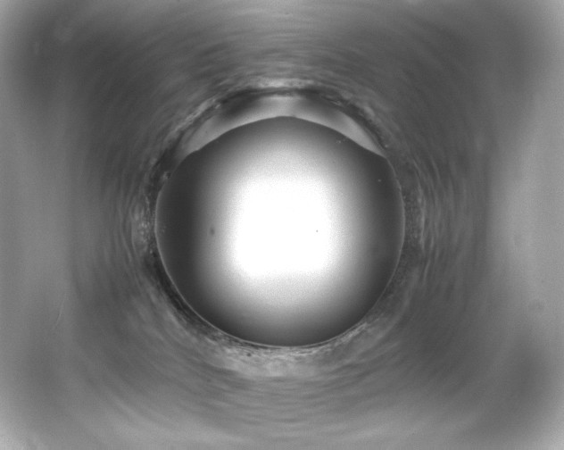 X0000066520040200603171229