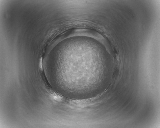 X0000066520041200603171229