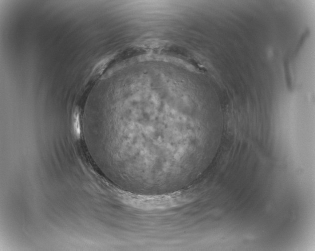 X0000066520042200603171229