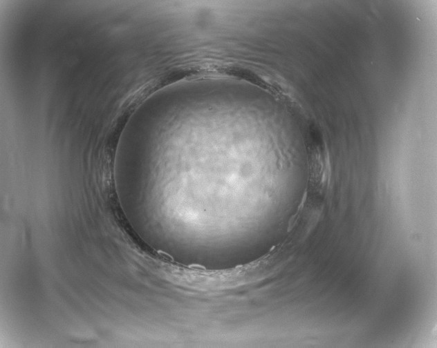 X0000066520043200603171229