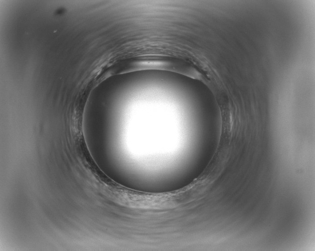 X0000066520044200603171229