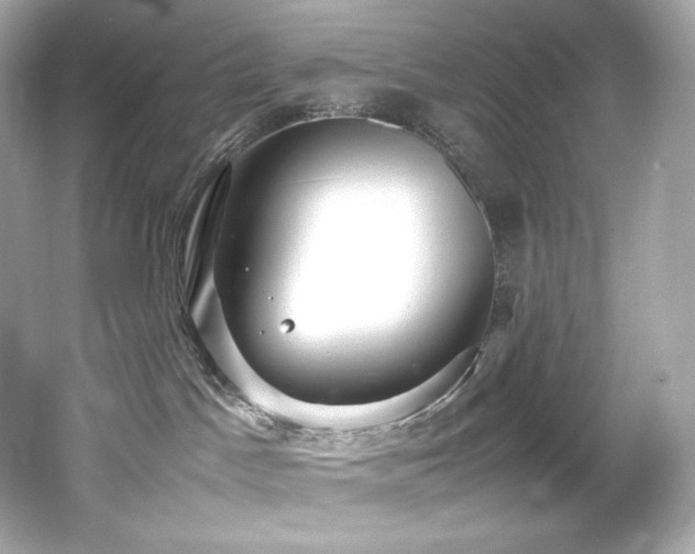 X0000066520045200603171229