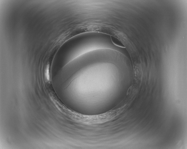 X0000066520046200603171229