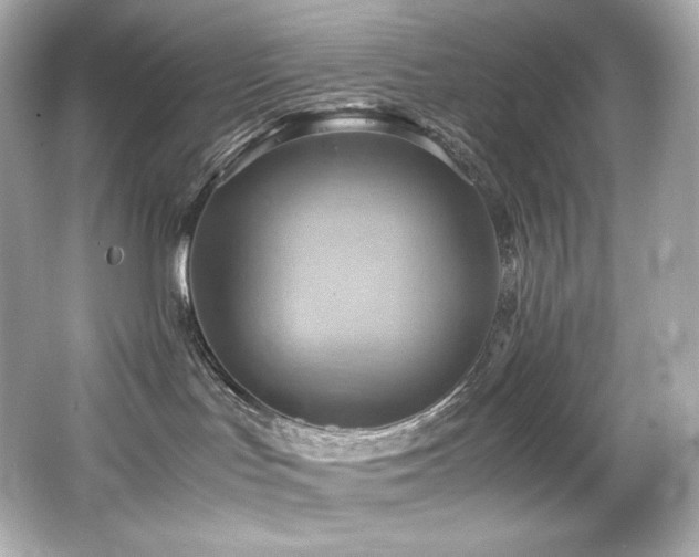 X0000066520047200603171229