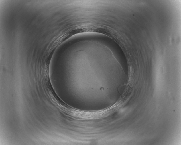 X0000066520048200603171229