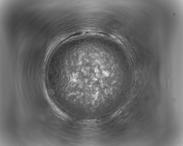 X0000066520049200603171229