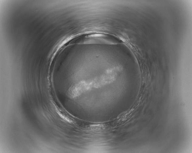 X0000066520050200603171229