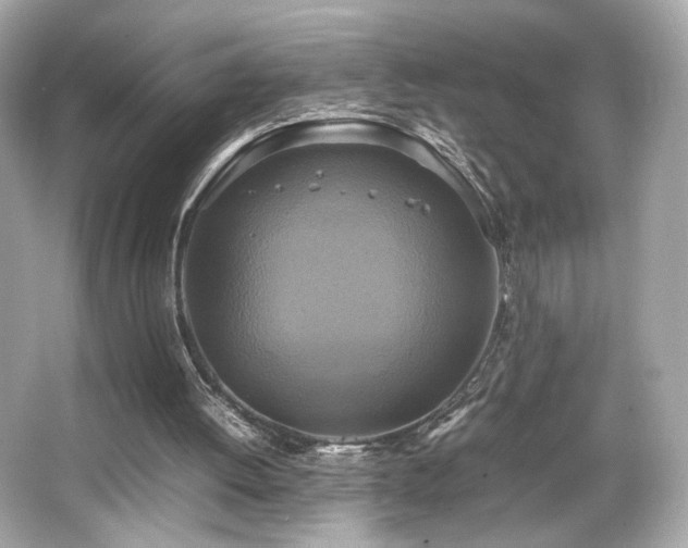 X0000066520052200603171229