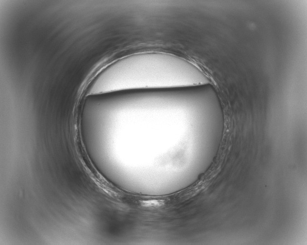 X0000066520053200603171229