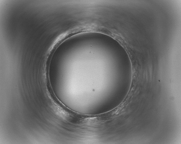 X0000066520054200603171229