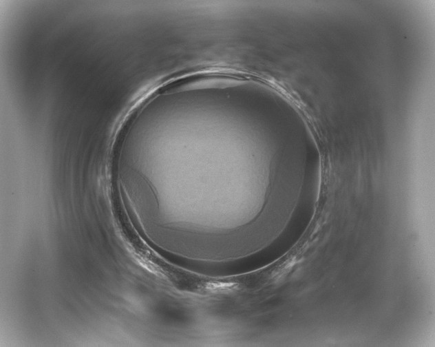 X0000066520055200603171229