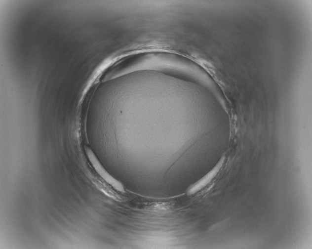 X0000066520056200603171229