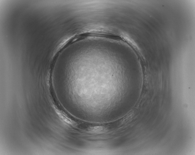 X0000066520058200603171229