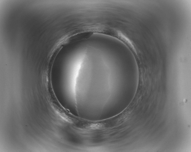 X0000066520059200603171229