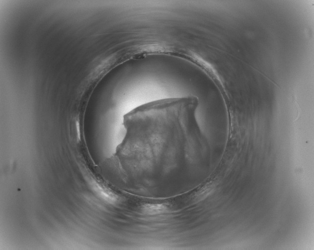 X0000066520061200603171229