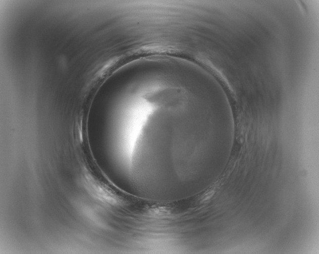 X0000066520062200603171229