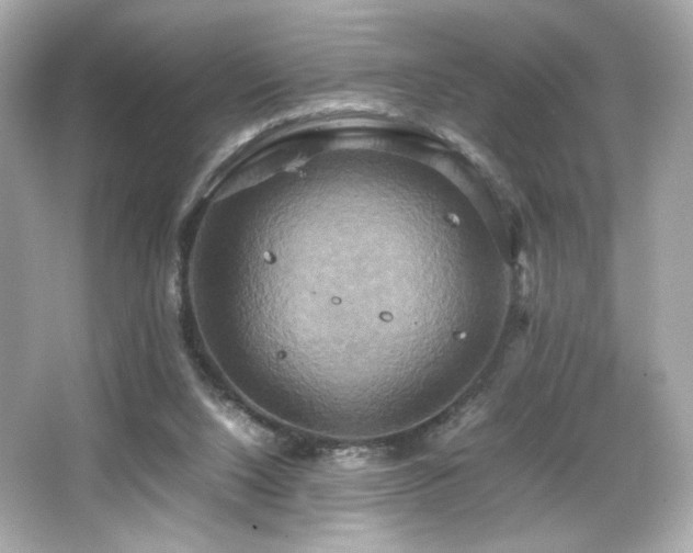 X0000066520064200603171229