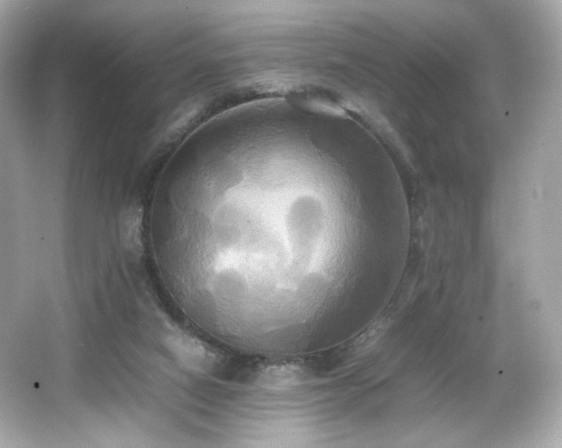 X0000066520066200603171229