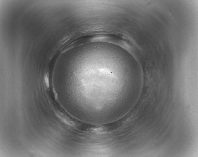 X0000066520068200603171229