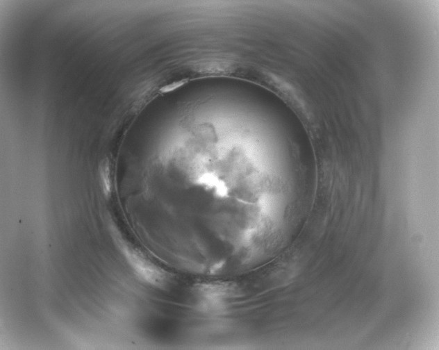 X0000066520069200603171229