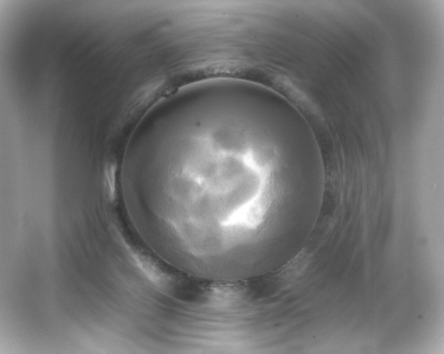 X0000066520070200603171229