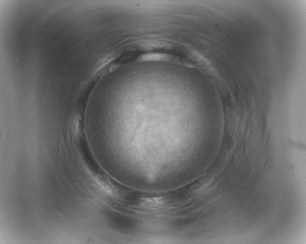 X0000066520071200603171229