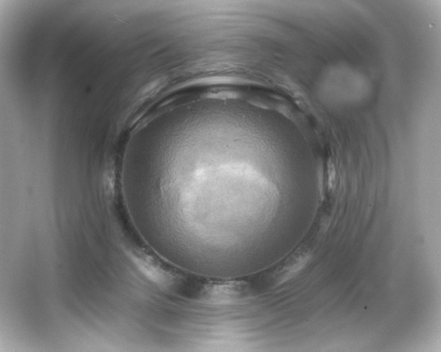 X0000066520072200603171229