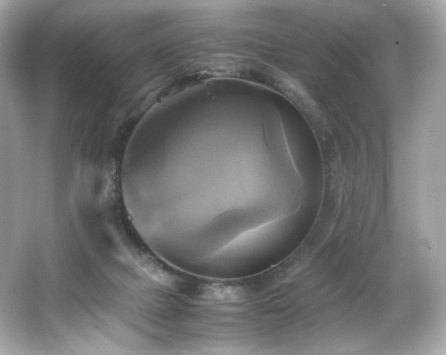 X0000066520073200603171229