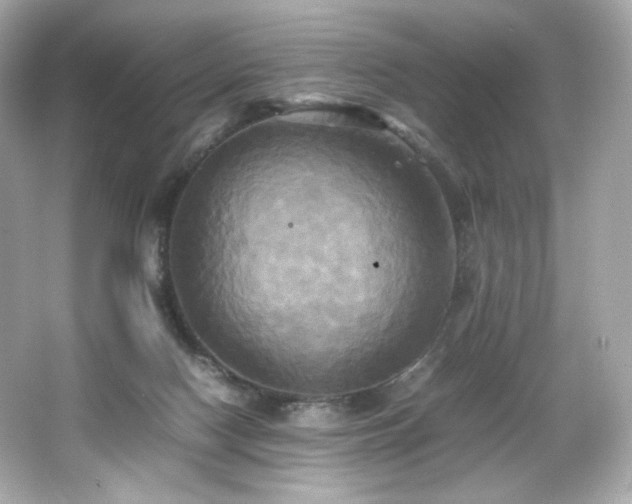 X0000066520074200603171229