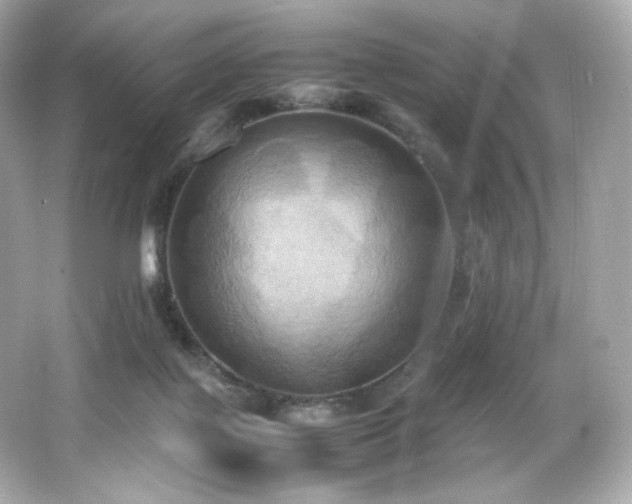 X0000066520075200603171229