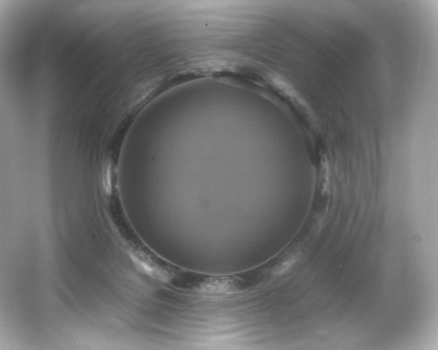 X0000066520076200603171229