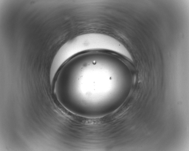 X0000066520077200603171229