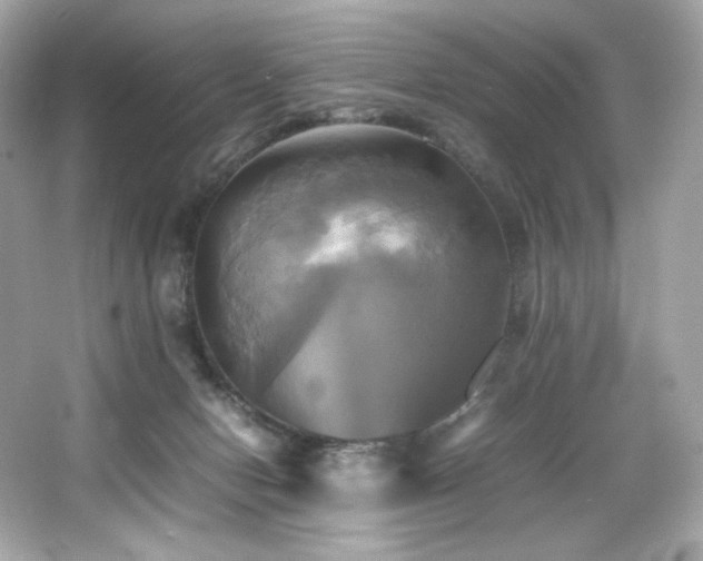 X0000066520078200603171229