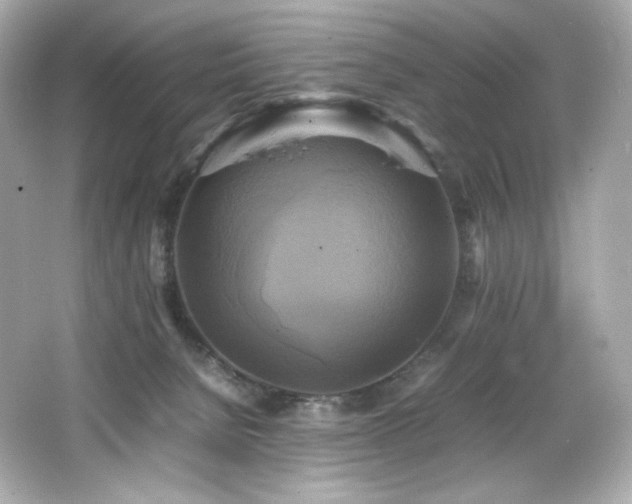 X0000066520080200603171229