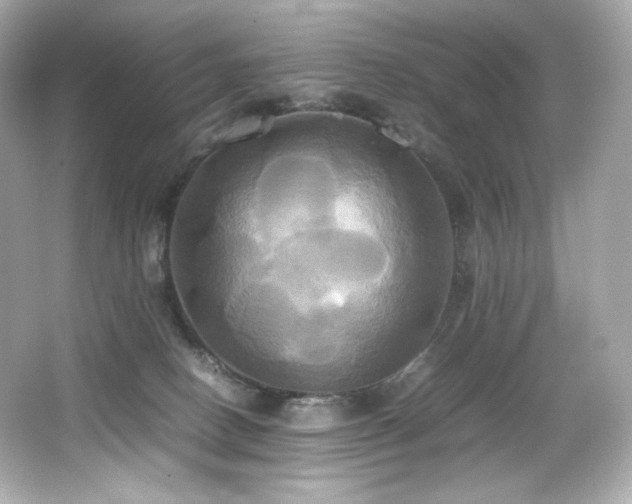 X0000066520082200603171229