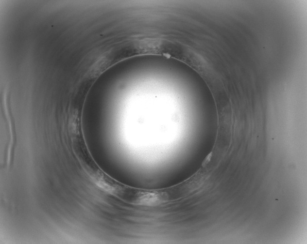 X0000066520083200603171229