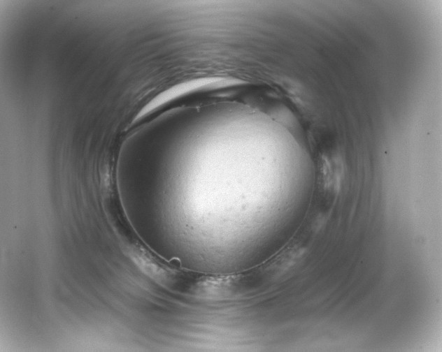 X0000066520084200603171229