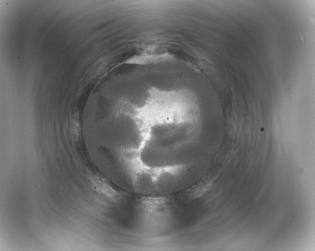 X0000066520085200603171229