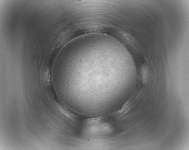 X0000066520086200603171229