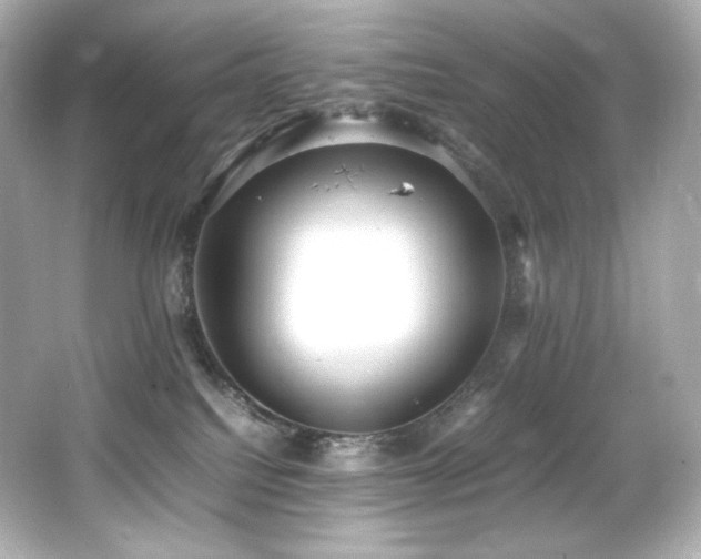 X0000066520088200603171229