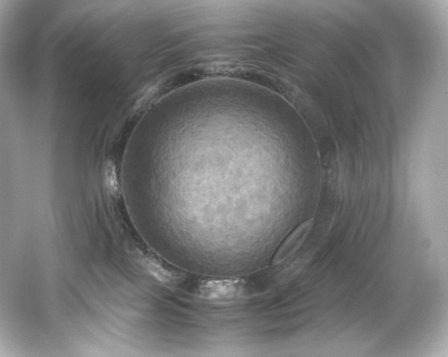 X0000066520089200603171229