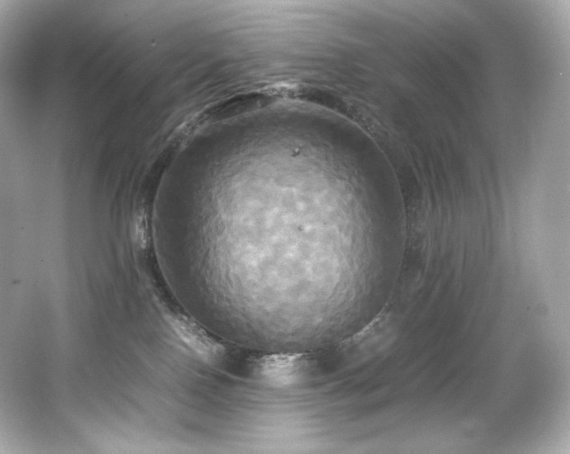 X0000066520090200603171229