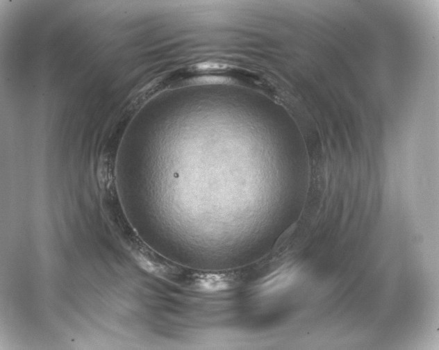 X0000066520091200603171229